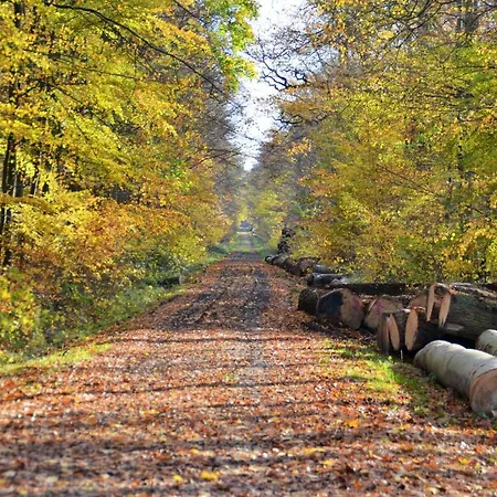 Tage Am 3 Sz 3 Baeder, Mit Dachterrasse By Unsere Urlaubszeit